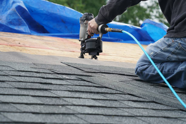 Best Roof Gutter Cleaning  in St George, SC